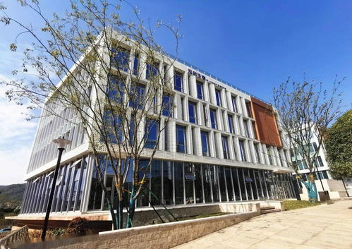 湘江科创基地一期获批省级孵化器，为区域创新发展注入新动能